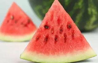 吃瓜id,网络红人的崛起与影响力