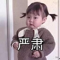 小师妹吃瓜情况,一场甜蜜的吃瓜盛宴